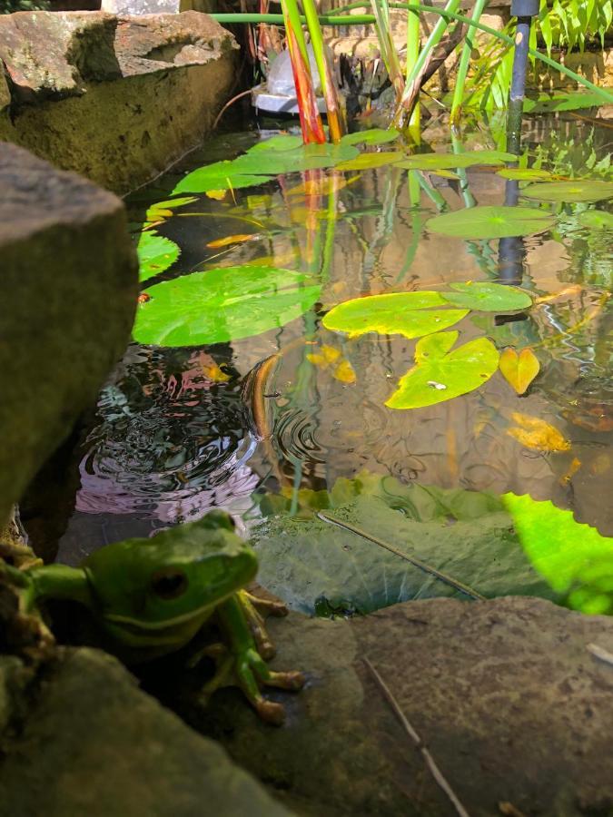 Whitsundays Bnb Retreat Airlie Beach Ngoại thất bức ảnh